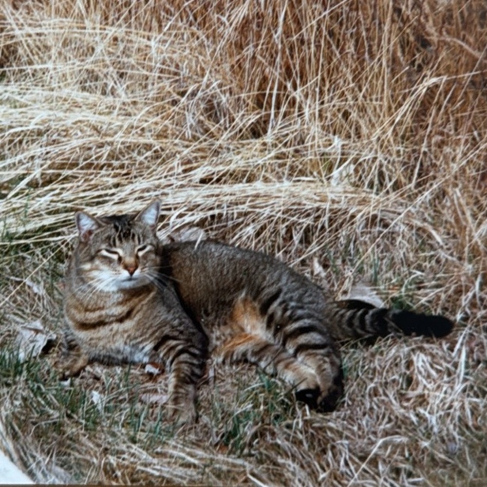 Meet your Posher, RASCAL - Picture 15 of 15